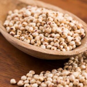 Jowar (Sorghum)