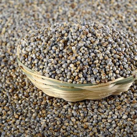 pulses from organic farm
