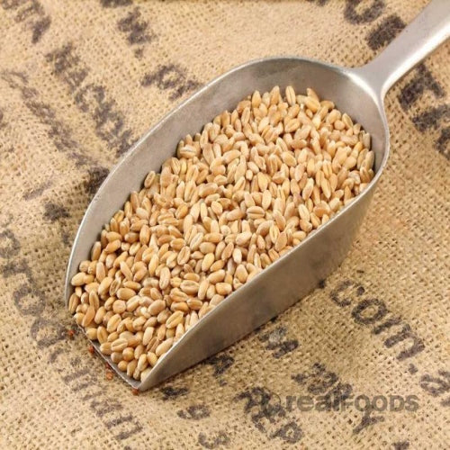 cashew butter