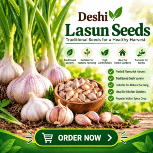 Deshi Lasun (Garlic) Seeds