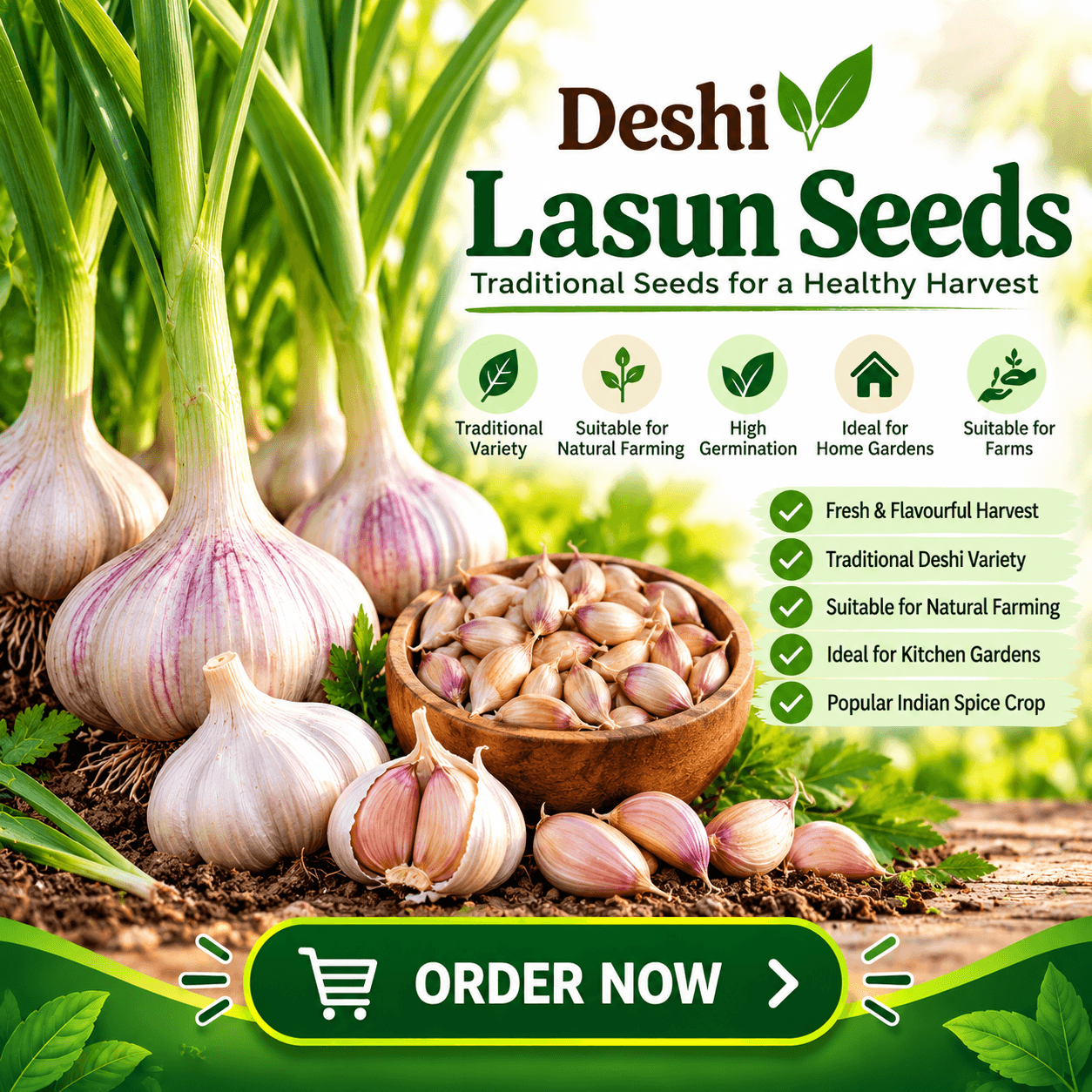 Lasun Seeds