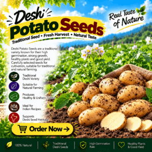 Deshi Potato Seeds