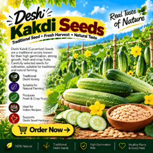 Deshi Kakdi (Cucumber) Seeds