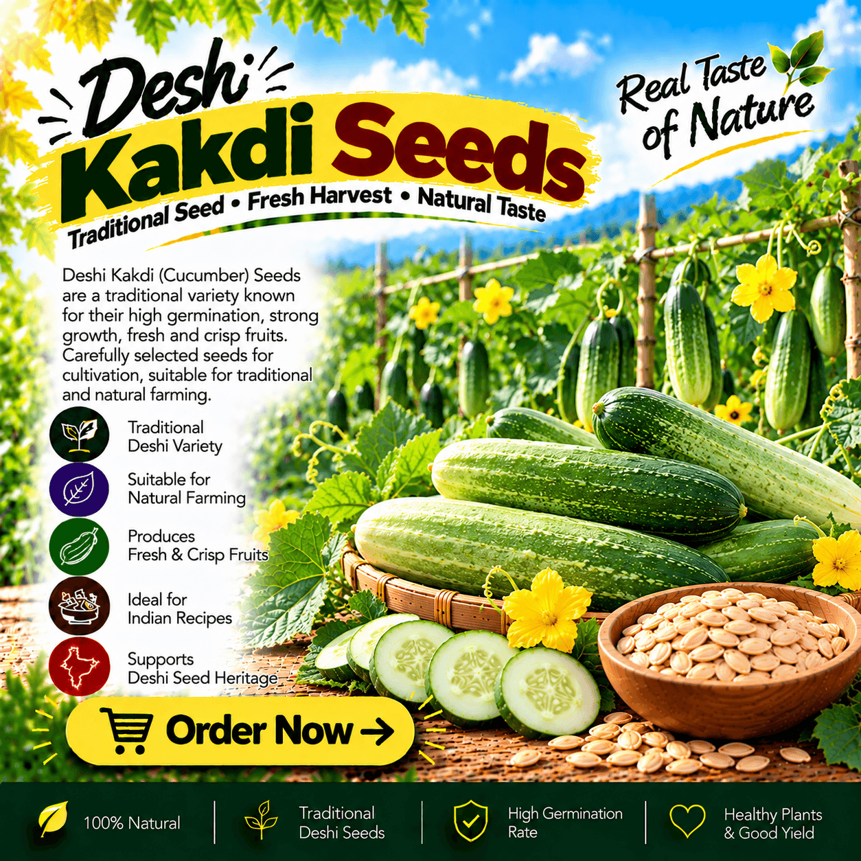 Cucumber Seeds