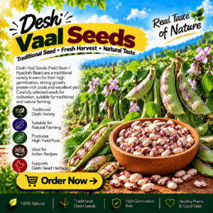 Deshi Vaal Seeds (Field Beans)