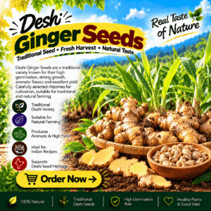 Deshi Ginger Seeds