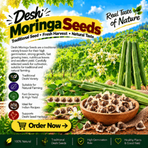 Deshi Moringa Seeds (Drumstick)