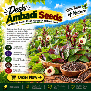 Deshi Ambadi Seeds