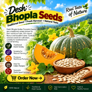 Deshi Bhopla (Indian Pumpkin) Seeds