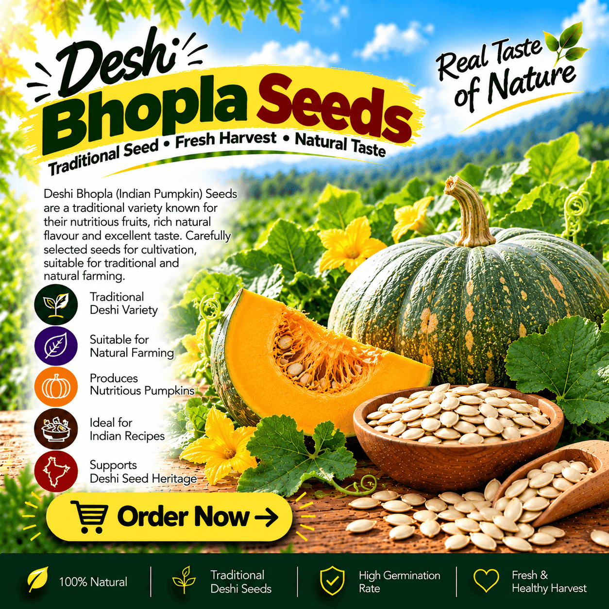 Bhopla seeds