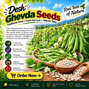 Deshi Ghevda Seeds