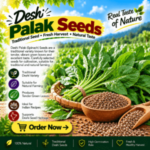 Deshi Palak (Spinach) Seeds
