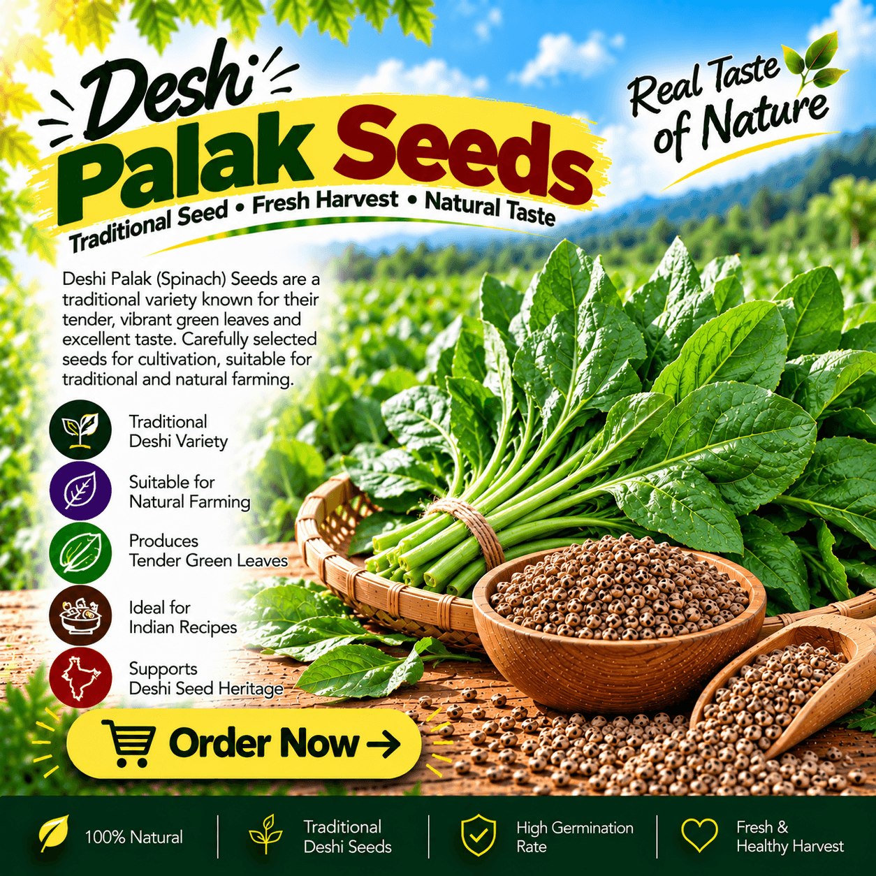 Spinach Seeds