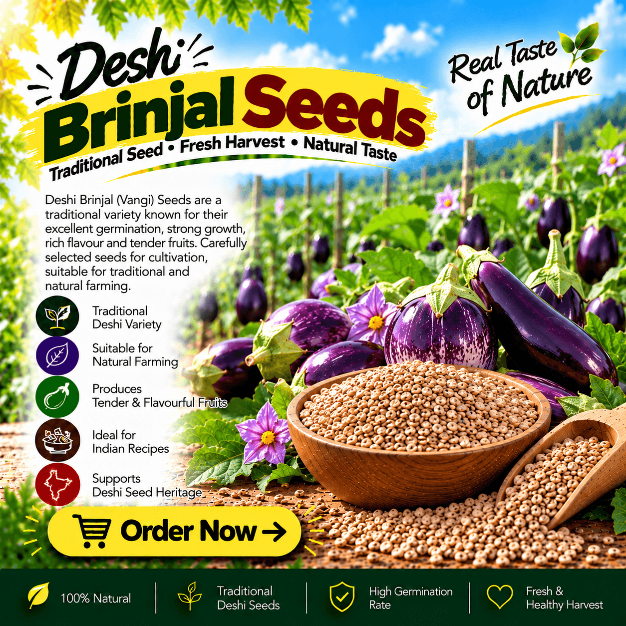 Eggplant seeds