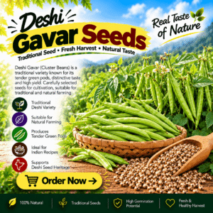 Deshi Gavar Seeds