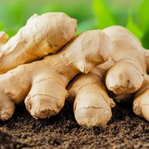Fresh Ginger (Aale)