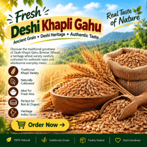 Deshi Khapli Gahu