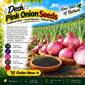 Deshi Pink Onion Seeds