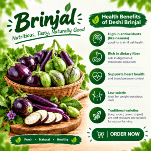 Fresh Brinjal (Eggplant / Baingan / Vangi)