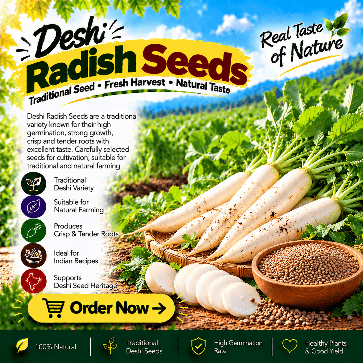 Raddish Seeds