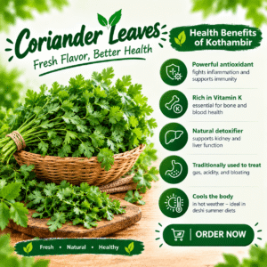 Fresh Coriander Leaves (Cilantro / Kothimbir)