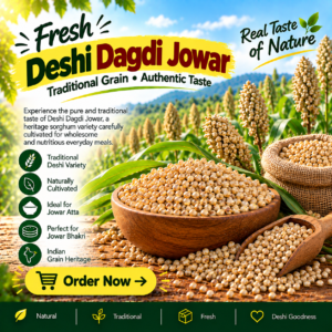 Deshi Dagdi Jowar