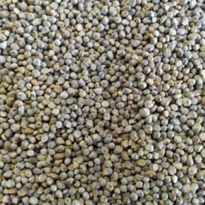 Deshi Bajra
