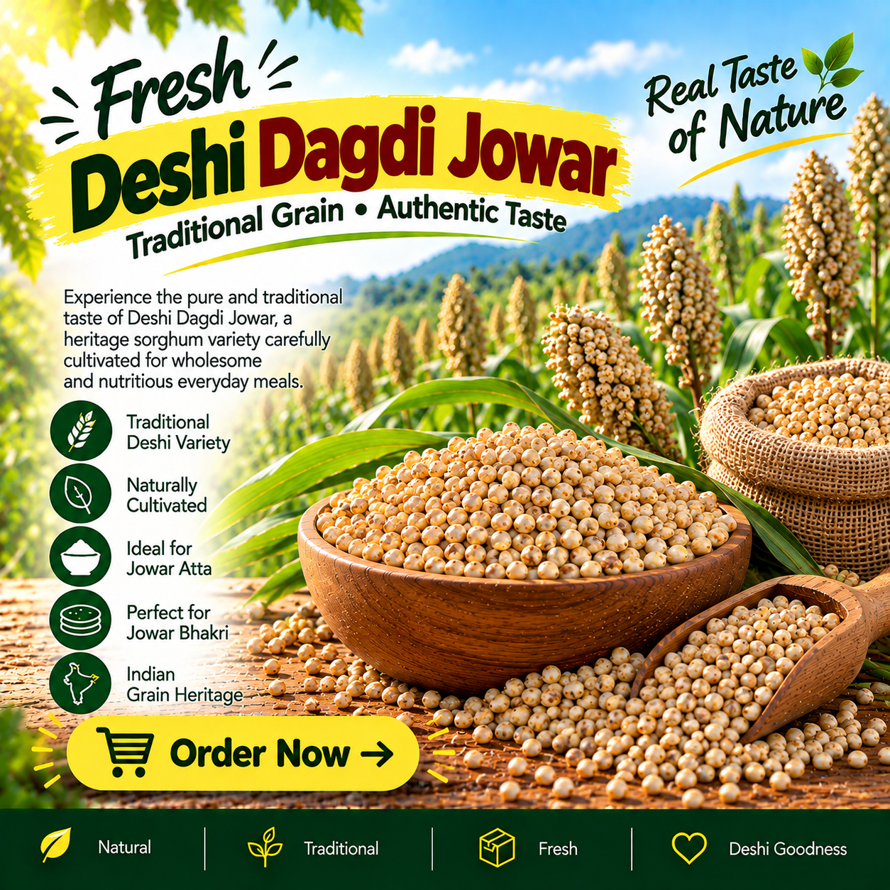 Deshi Dagadi Jawari