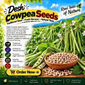 Deshi Cowpea Seeds (Chawali)