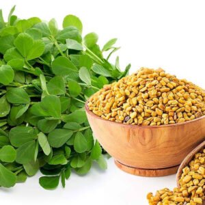 Premium Fenugreek Seeds (Methi Dana)