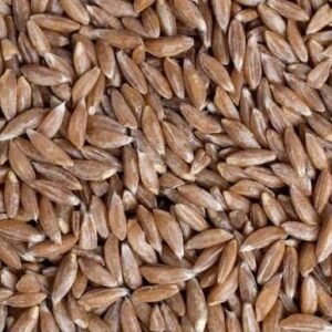 Deshi Khapli Gahu