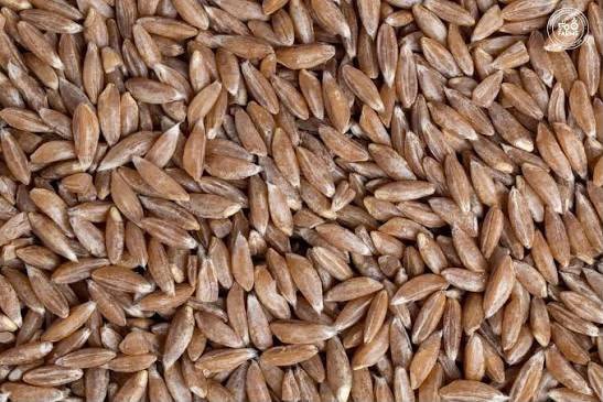 Deshi Khapli Gahu