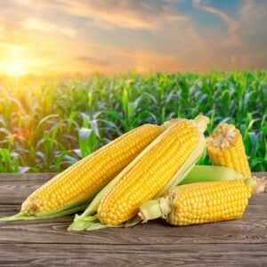 Fresh Sweet Maize (Bhutta, Maka)