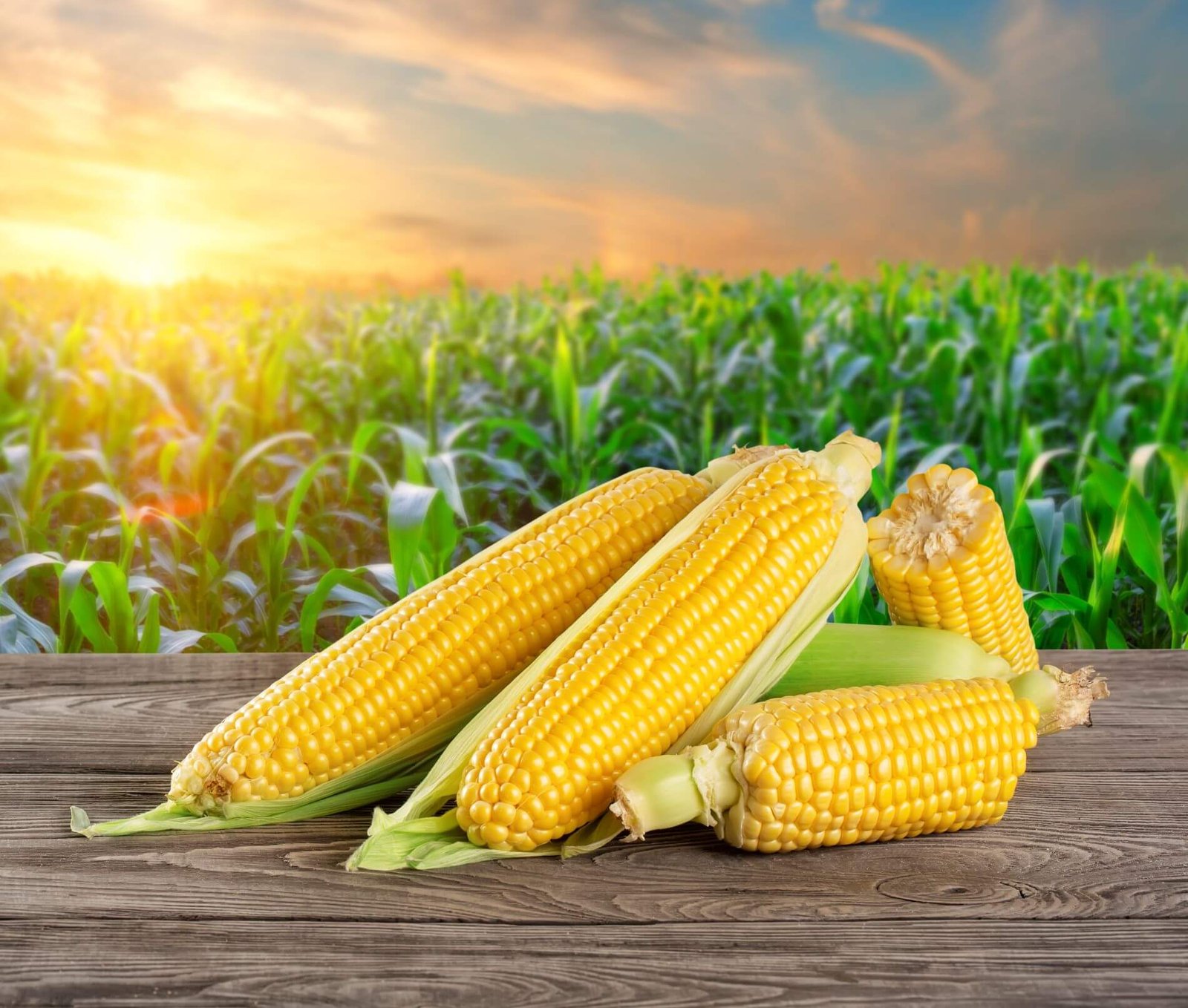 maize_bhutta_img_1