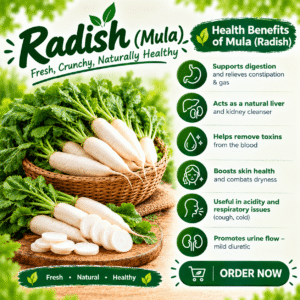 Fresh Organic Radish (Mula)