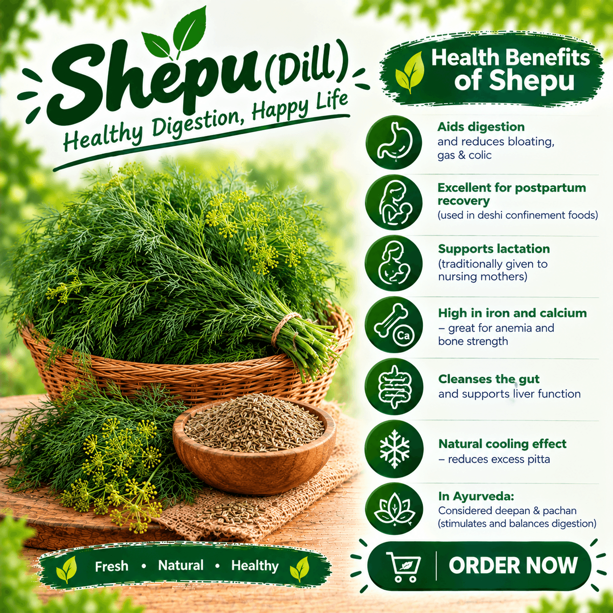 shepu_(Dill)_शेपू