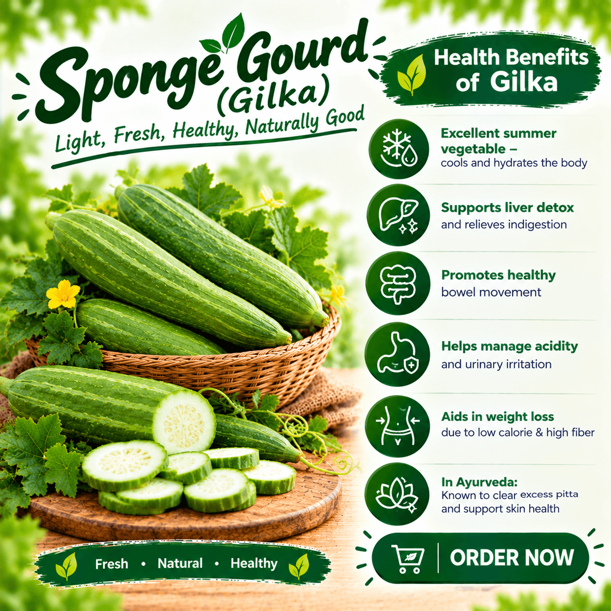 sponge_gourd_दोडका
