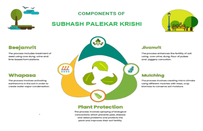 Infographic showing the five components of Subhash Palekar Krishi including Beejamrit, Jivamrit, Whapasa, Mulching and plant protection